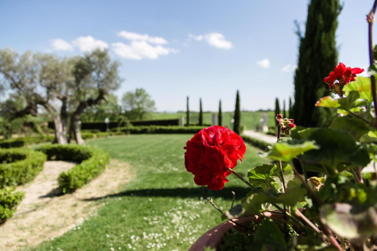 Podere San Giuseppe Castiglione del Lago Buitenkant foto