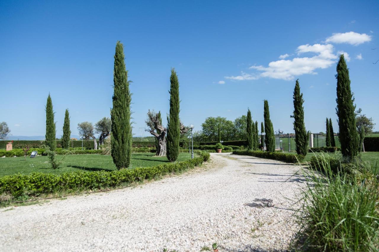 Podere San Giuseppe Castiglione del Lago Buitenkant foto