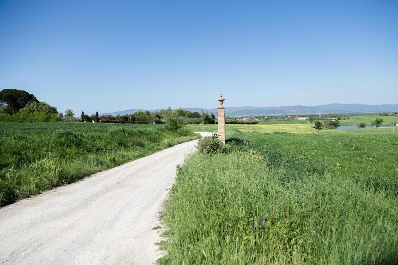 Podere San Giuseppe Castiglione del Lago Buitenkant foto